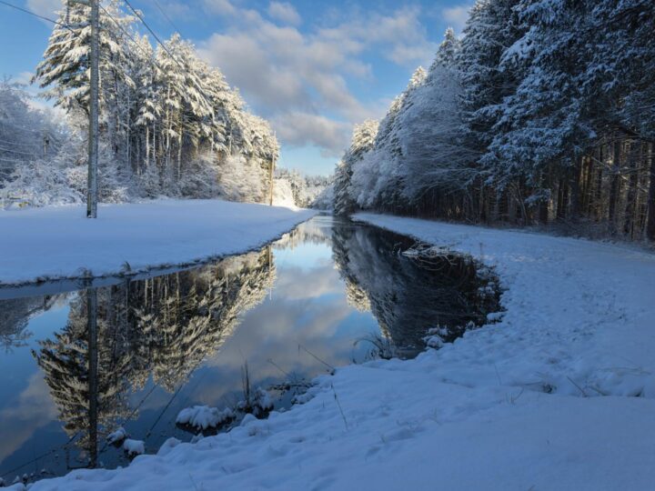 Parque forestal Zvezdara